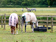 EP060722-113 - EquiPrep Visit